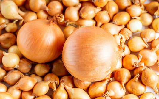 Onion: The Humble Root with Powerful Benefits