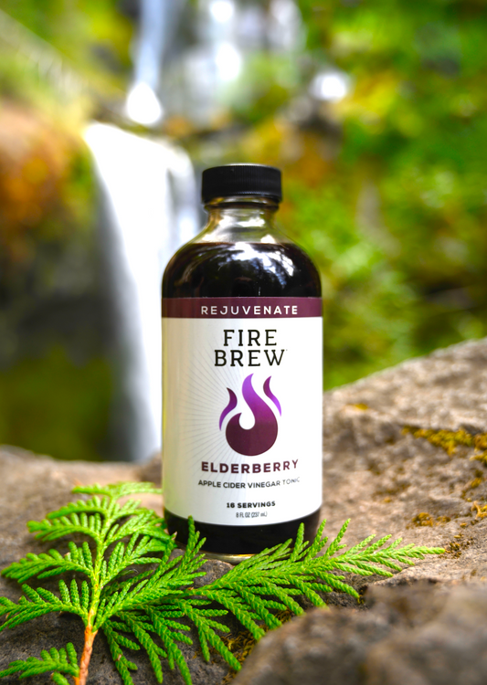 Elderberry (IMMUNE) Apple Cider Vinegar Tonic - Fire Cider